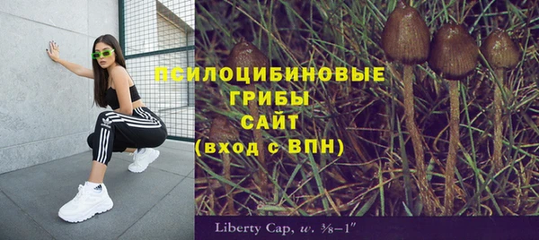 MDMA Premium VHQ Нефтегорск